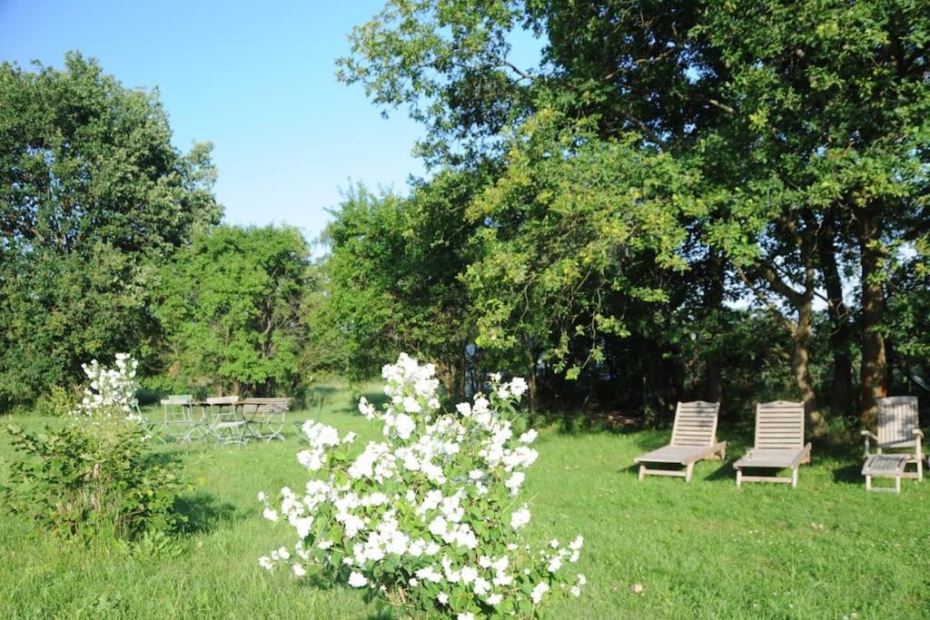 Schwarz Romantisches Studio Am Waldesrand Mit Gartensauna מראה חיצוני תמונה