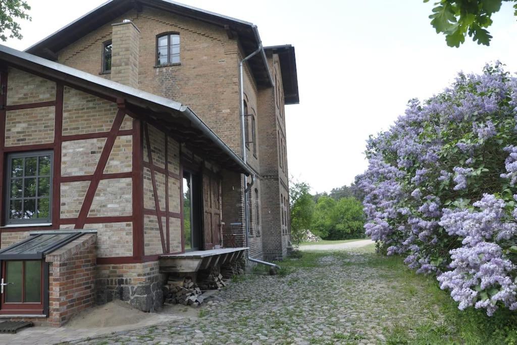 Schwarz Romantisches Studio Am Waldesrand Mit Gartensauna מראה חיצוני תמונה