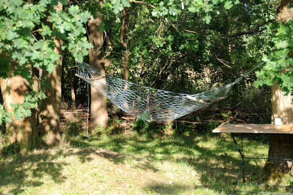 Schwarz Romantisches Studio Am Waldesrand Mit Gartensauna מראה חיצוני תמונה